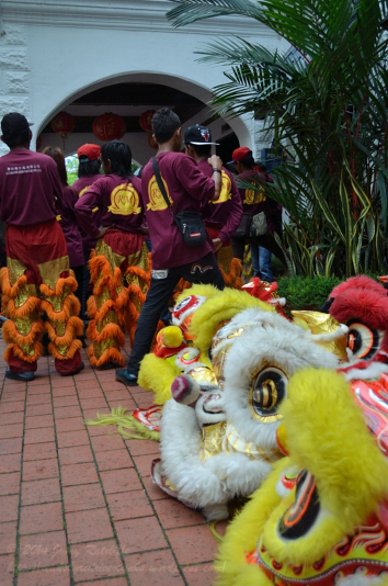 The lion heads keeping guard as the lion dancers watch the dragon dance in neighbouring Kota Kinabalu.